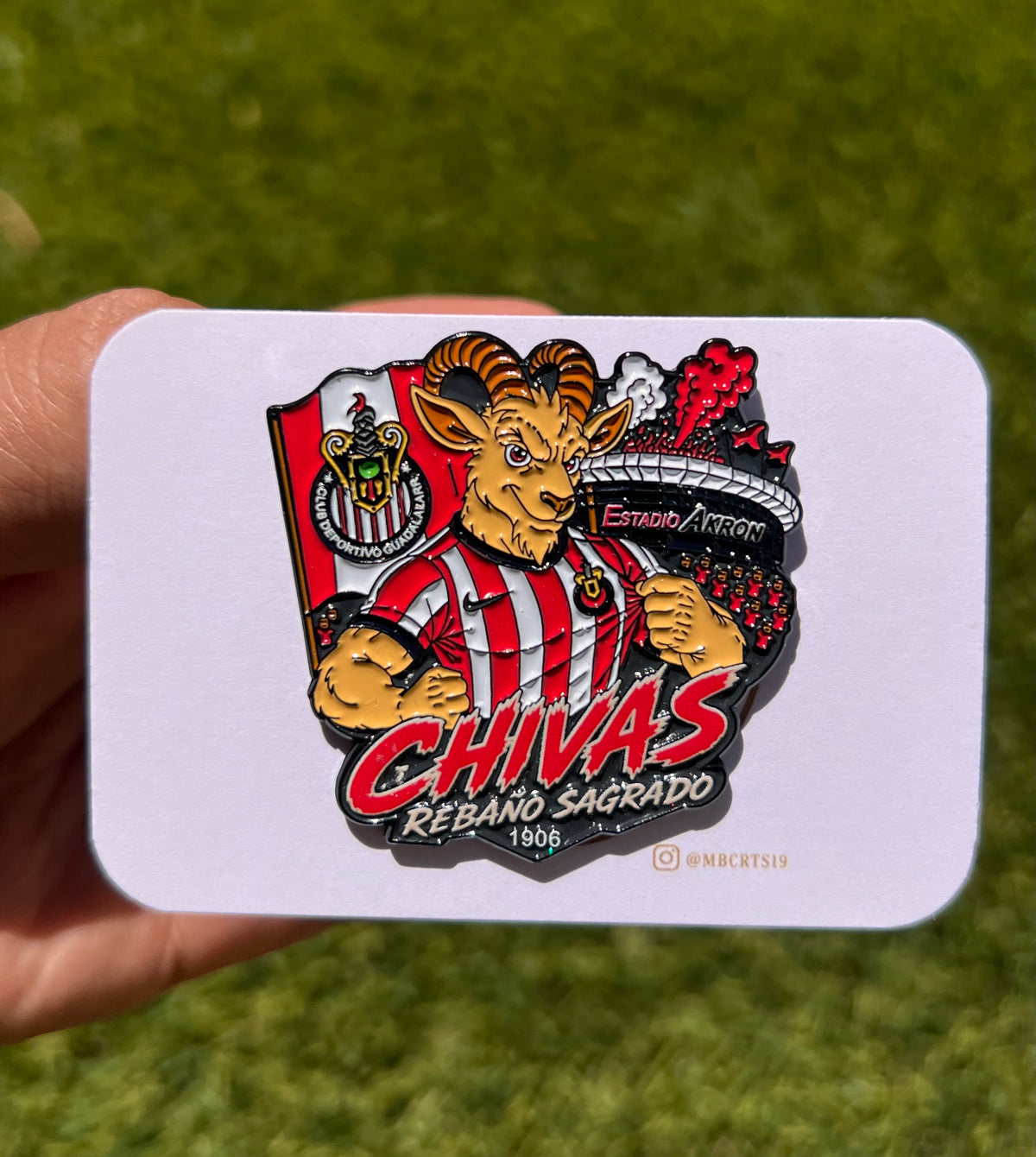 Chivas | Rebaño Sagrado